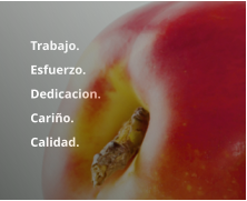 	Trabajo.  	Esfuerzo.  	Dedicacion. 	Cariño.  	Calidad.